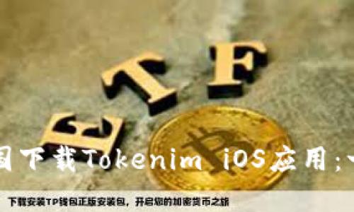 如何在中国下载Tokenim iOS应用：一步步指南