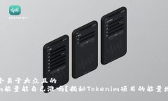 思考一个易于大众且的  Tokenim能量能自己涨吗？