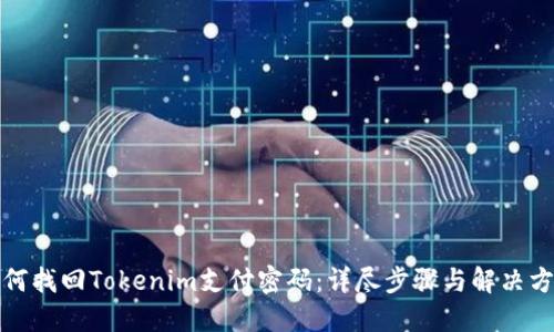 如何找回Tokenim支付密码：详尽步骤与解决方案