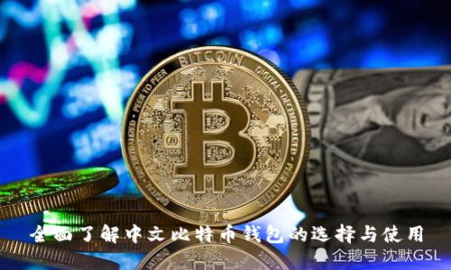 全面了解中文比特币钱包的选择与使用