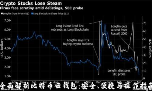 
全面解析比特币云钱包：安全、便捷与操作指南