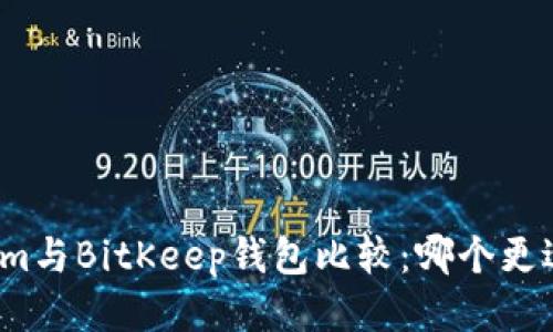 Tokenim与BitKeep钱包比较：哪个更适合你？