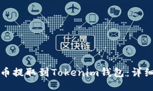 如何将猪币提取到Tokenim钱包：详细步骤指南