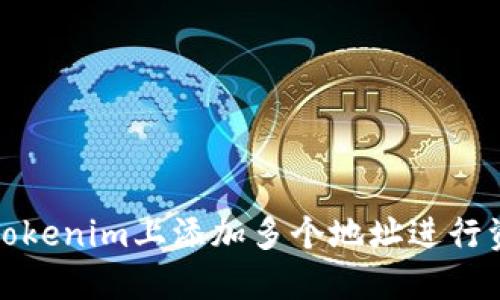 如何在Tokenim上添加多个地址进行资金管理