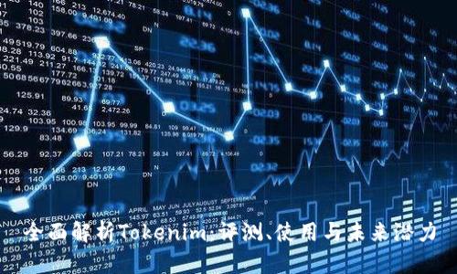 全面解析Tokenim：评测、使用与未来潜力