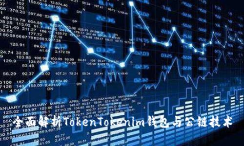 全面解析TokenTokenim钱包与公链技术