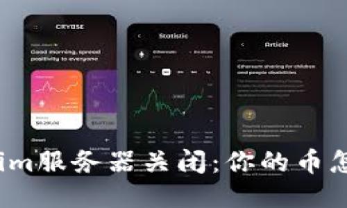 Tokenim服务器关闭：你的币怎么办？