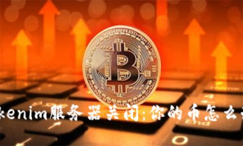 Tokenim服务器关闭：你的币怎么办？