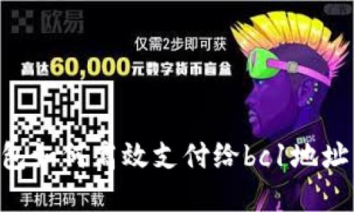 比特币钱包如何高效支付给bc1地址：完整指南