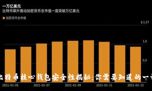 比特币核心钱包安全性揭秘：你需要知道的一切