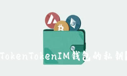 如何找回TokenTokenIM钱包的私钥？详细指南