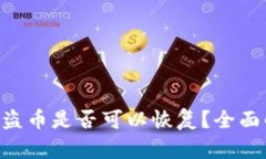 Tokenim钱包被盗币是否可以恢复？全面解析与应对