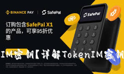 ## 什么是TokenIM密钥？详解TokenIM密钥的作用与使用方法