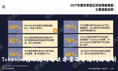 Tokenim转账超时解决方案及常见问题解析