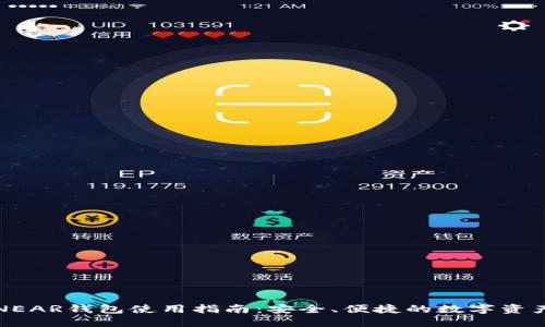 详解NEAR钱包使用指南：安全、便捷的数字资产管理