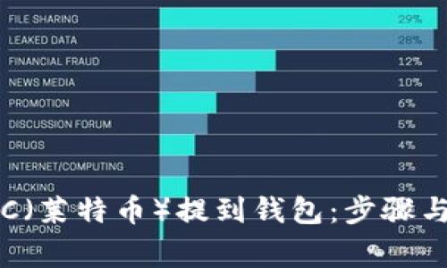 如何将LTC（莱特币）提到钱包：步骤与注意事项