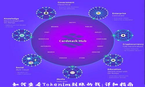 
如何查看Tokenim到账的钱：详细指南