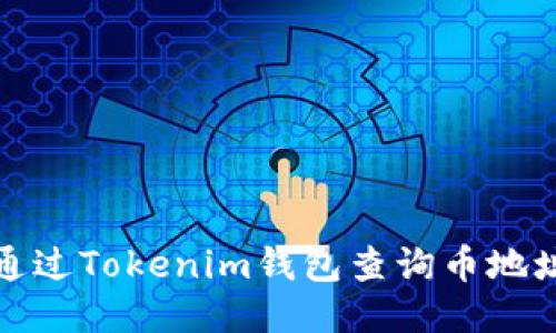 如何通过Tokenim钱包查询币地址名称