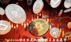 Tokenim项目发展现状分析与