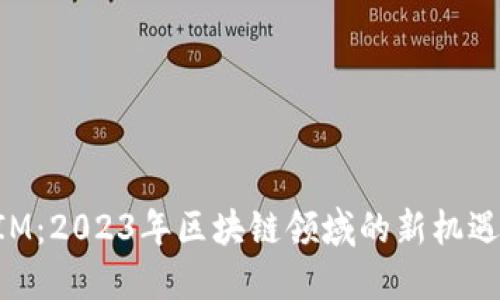 TokenIM：2023年区块链领域的新机遇和挑战