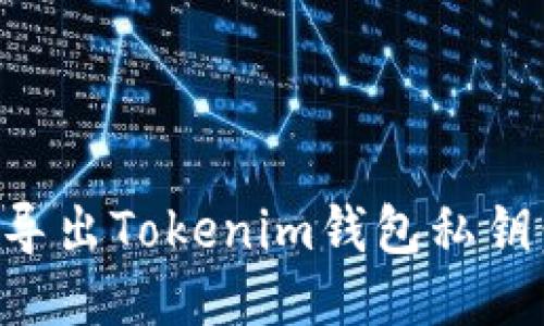 如何安全导出Tokenim钱包私钥：逐步指南