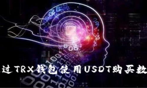 如何通过TRX钱包使用USDT购买数字资产