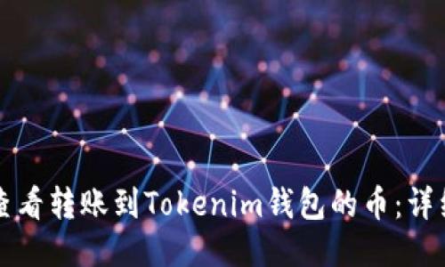 如何查看转账到Tokenim钱包的币：详细指南