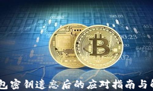 
USDT钱包密钥遗忘后的应对指南与解决方案