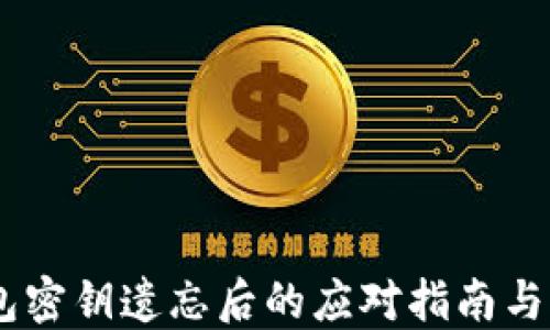 
USDT钱包密钥遗忘后的应对指南与解决方案