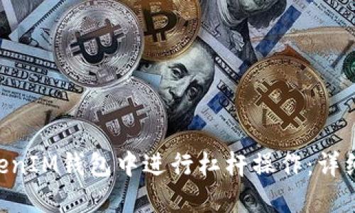 如何在TokenTokenIM钱包中进行杠杆操作：详细指南与实用技巧