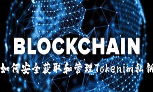 如何安全获取和管理Tokenim私钥