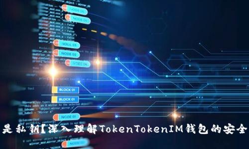 什么是私钥？深入理解TokenTokenIM钱包的安全基础