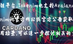 目前，Tokenim 是一个多链支