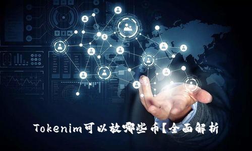 Tokenim可以放哪些币？全面解析