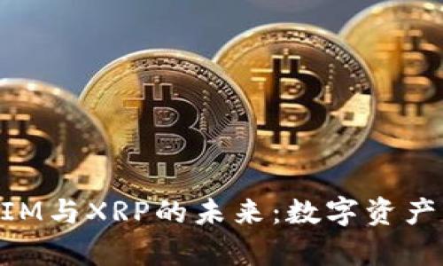 深入解析TokenIM与XRP的未来：数字资产管理的最佳实践