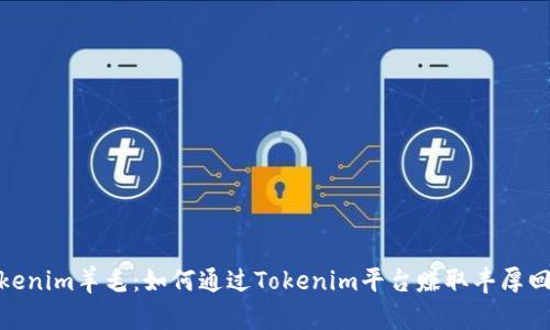 Tokenim羊毛：如何通过Tokenim平台赚取丰厚回报