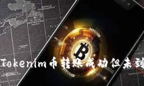 如何解决Tokenim币转账成功但未到账的问题