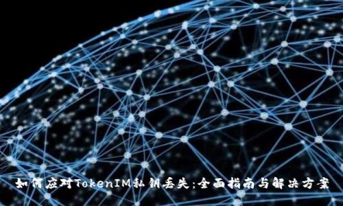 如何应对TokenIM私钥丢失：全面指南与解决方案