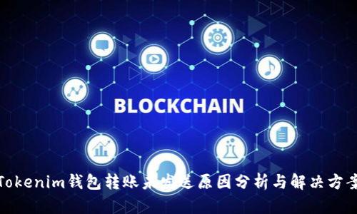 Tokenim钱包转账未发送原因分析与解决方案