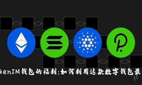 探索TokenTokenIM钱包的福利：如何利用这款数字钱包最大化你的收益