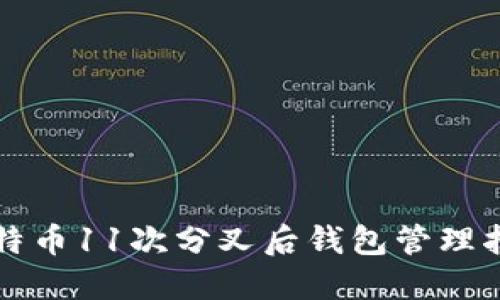 比特币11次分叉后钱包管理指南
