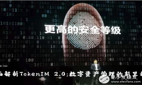 全面解析TokenIM 2.0：数字资产管理的新里程碑