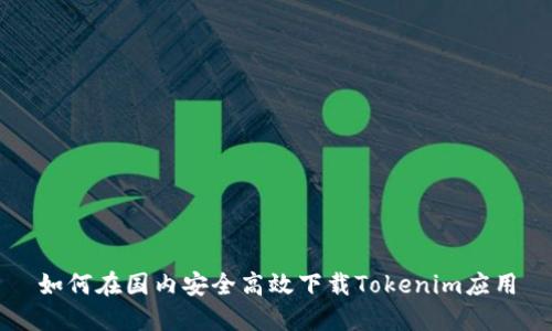 如何在国内安全高效下载Tokenim应用