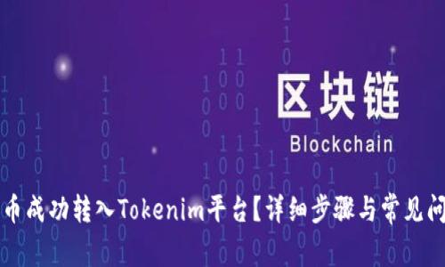 如何将币成功转入Tokenim平台？详细步骤与常见问题解析