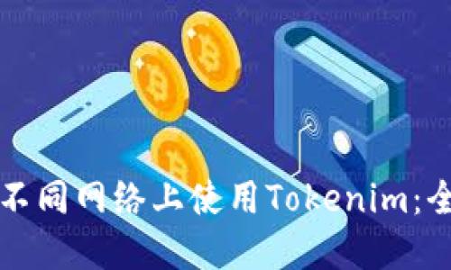 如何在不同网络上使用Tokenim：全面指南