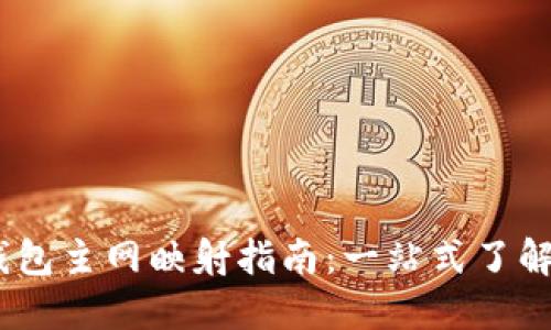 IM Token钱包主网映射指南：一站式了解及操作步骤