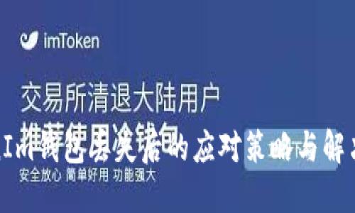 TokenIm钱包丢失后的应对策略与解决方案