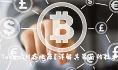 什么是TokenIM存比原？详解