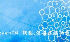 理解 TokenTokenIM 钱包：没有