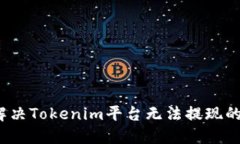 如何解决Tokenim平台无法提